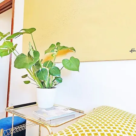 Appartement Tropicale